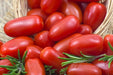 Tomato Seeds - Martino's Roma - Alliance of Native Seedkeepers - Tomato