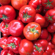 Tomato Seeds - Nepal - Alliance of Native Seedkeepers - Tomato
