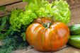 Tomato Seeds -Pink Berkeley Tie Dye - Alliance of Native Seedkeepers - 0. New Items 2022