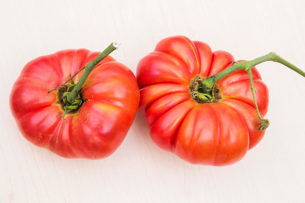 Tomato Seeds - Pink Brandywine Beefsteak - Alliance of Native Seedkeepers - Tomato