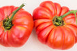 Tomato Seeds - Pink Brandywine Beefsteak - Alliance of Native Seedkeepers - Tomato