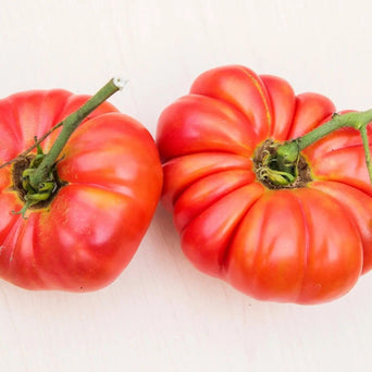 Tomato Seeds - Pink Brandywine Beefsteak - Alliance of Native Seedkeepers - Tomato