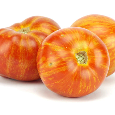 Tomato Seeds - Red Zebra - Alliance of Native Seedkeepers - Tomato