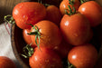 Tomato Seeds - Roma - Alliance of Native Seedkeepers - Tomato
