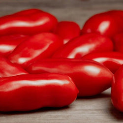 Tomato Seeds - San Marzano - Determinate - Alliance of Native Seedkeepers - Tomato