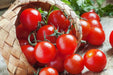 Tomato Seeds - Tommy Toe - Alliance of Native Seedkeepers - Tomato