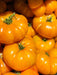 Tomato Seeds - Yellow Brandywine - Alliance of Native Seedkeepers - Tomato