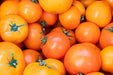 Valencia Tomato - Alliance of Native Seedkeepers - Tomato