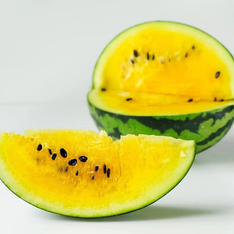 Watermelon Seeds - Bush - Yellow Petite - Alliance of Native Seedkeepers - Vegetable Seeds
