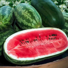 Light Coral Watermelon Seeds - Vining - Congo Alliance Of Native Seedkeepers Vegetable Seeds