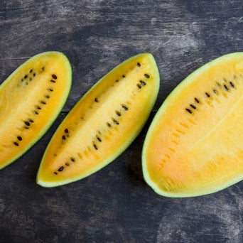 Watermelon Seeds - Moon and Stars Yellow Flesh - Alliance of Native Seedkeepers - 2. All Fruits