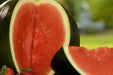 Watermelon Seeds - Sugar Baby - Alliance of Native Seedkeepers - 2. All Fruits