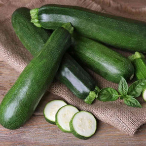 Zucchini Seeds - Vining - Black Beauty - Alliance of Native Seedkeepers - Vegetable Seeds