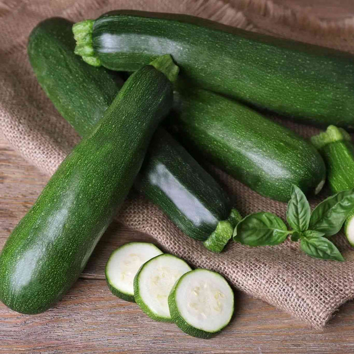 Black Beauty Zucchini Seeds