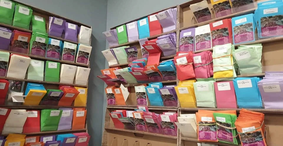 A wall of colorful Alliance of Native Seedkeepers packets inside another store in 2022