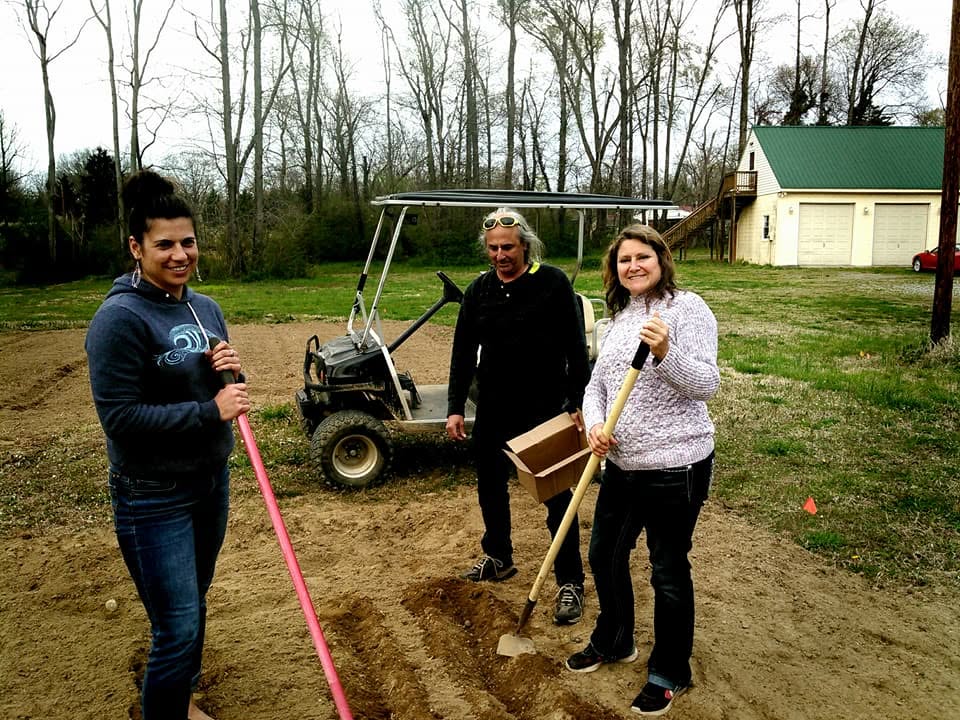 A small group standing with garden tools in an early growing plot